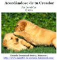 Edj02-01-acordandose-de-tu-creador(repuestas)